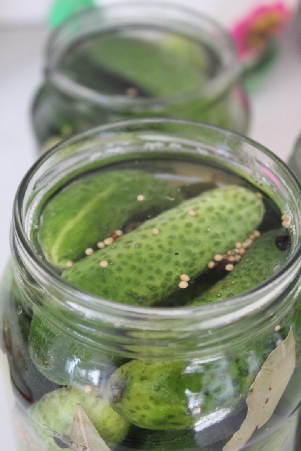 Concombres à la moutarde pour l'hiver en canettes, recettes avec photo
