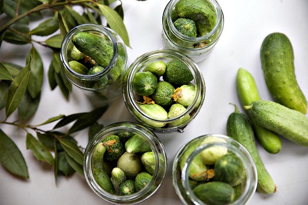 Concombres à la moutarde pour l'hiver en canettes, recettes avec photo