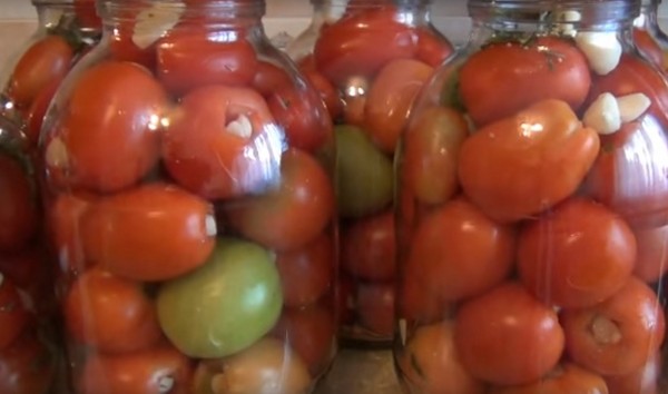 Tomates à l'ail pour l'hiver, recettes. La récolte des tomates à l'ail pour l'hiver: une recette pour une cuisson rapide, sans stérilisation, salée sans baignade