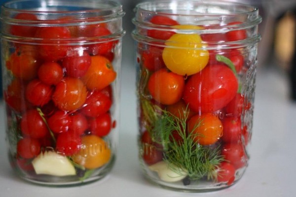 Tomates en gélatine pour l'hiver - recettes avec des oignons, sans stérilisation. Tomates marinés récoltées en gélatine pour l'hiver