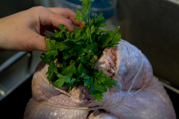 La recette de la dinde pour la nouvelle année 2017 et Noël - au four, multivark, dans une poêle à frire, avec sauce à la crème sure et légumes