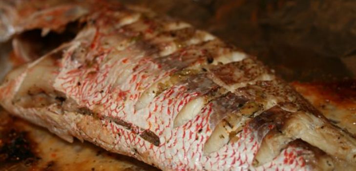 poisson cuit
