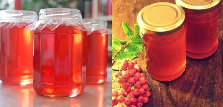 Rowan pour l'hiver: recettes de billettes de l'aronia rouge et noir habituel