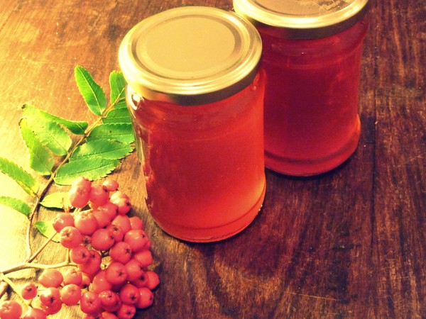 Rowan pour l'hiver: recettes de billettes de l'aronia rouge et noir habituel
