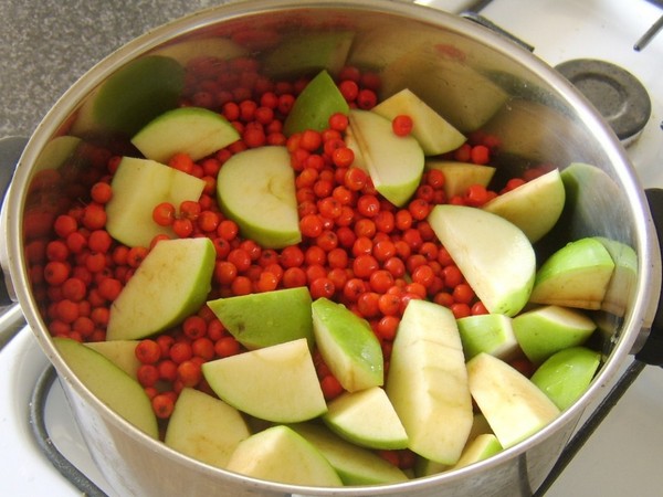 Rowan pour l'hiver: recettes de billettes de l'aronia rouge et noir habituel