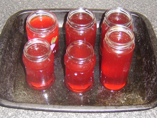Rowan pour l'hiver: recettes de billettes de l'aronia rouge et noir habituel