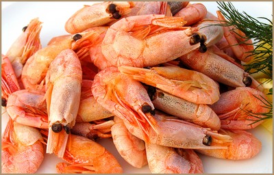 Salade de crevettes et calamars