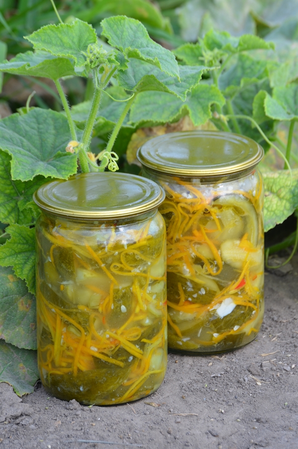 Salade de concombre pour l'hiver