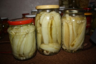 Salade de concombre pour l'hiver