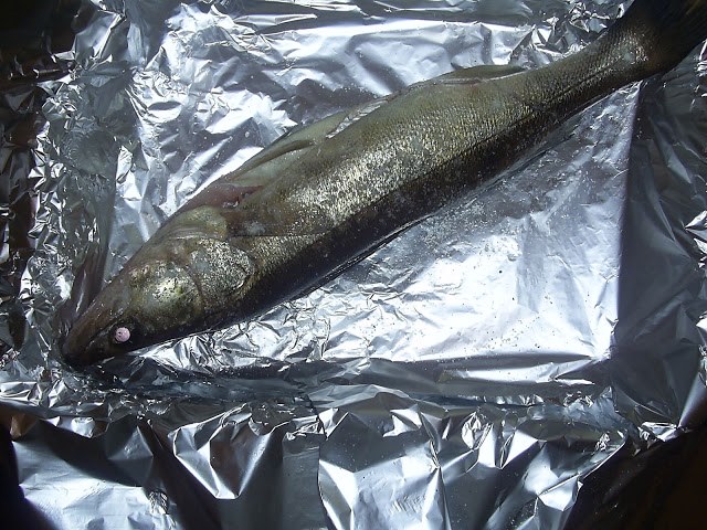 poisson sur une feuille