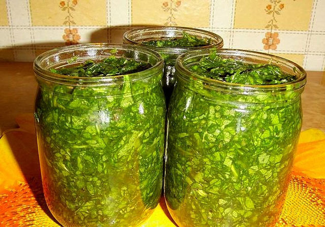 Comment rouler l'oseille pour l'hiver avec du sel