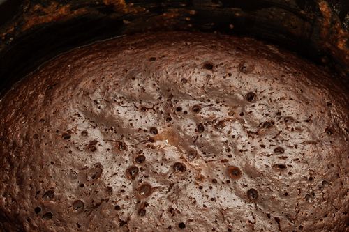 Cupcake au chocolat en multivarquet - recette rapide avec photo