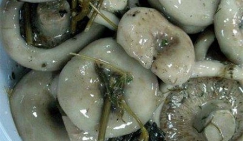 Les raisins secs pour l'hiver: des recettes de cuisine délicieuses et simples