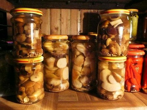 Seigle: recettes de cuisine simples et délicieuses