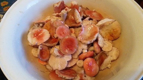 Seigle: recettes de cuisine simples et délicieuses