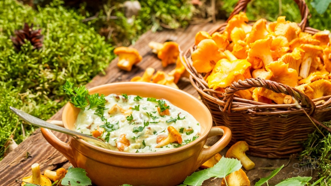 Chanterelle salée