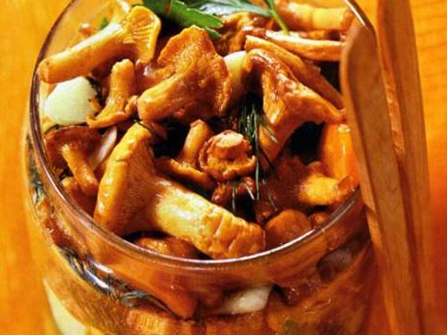 Chanterelle salée