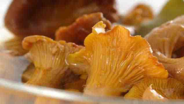 Chanterelle salée