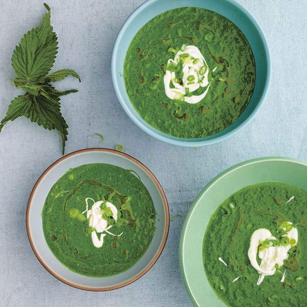 Soupe verte d'oseille