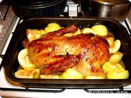 Canard au four: quelle saveur cuisiner?