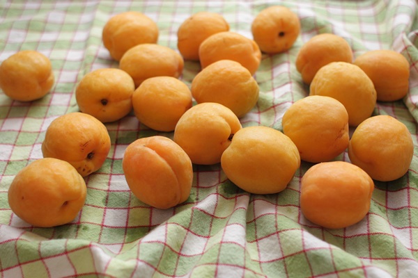 Confiture d'abricot - recette royale