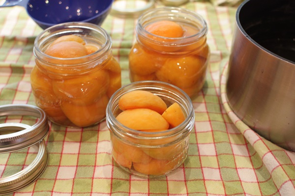 Confiture d'abricot - recette royale