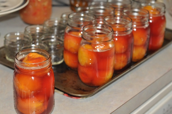 Confiture d'abricot - recette royale