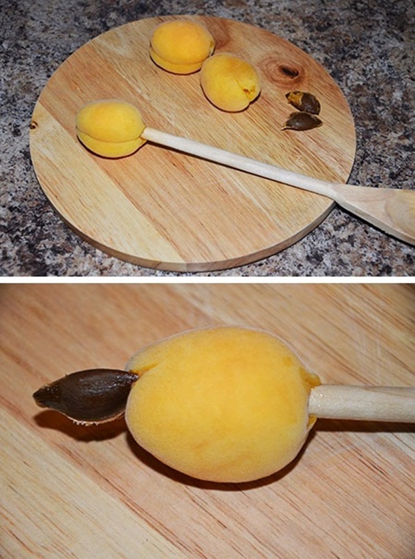 Confiture d'abricot - recette royale