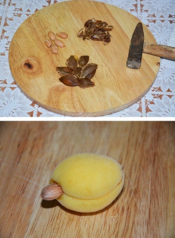 Confiture d'abricot - recette royale