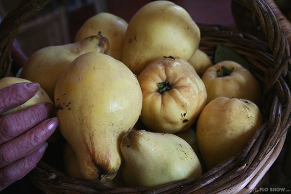 Confiture de coing: les recettes les plus délicieuses avec des photos
