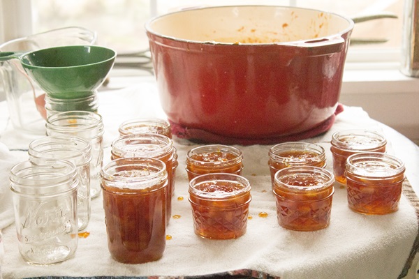 Confiture d'oranges et d'écorces d'orange: des recettes pas à pas avec des photos