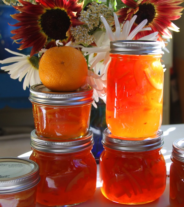Confiture d'oranges et d'écorces d'orange: des recettes pas à pas avec des photos