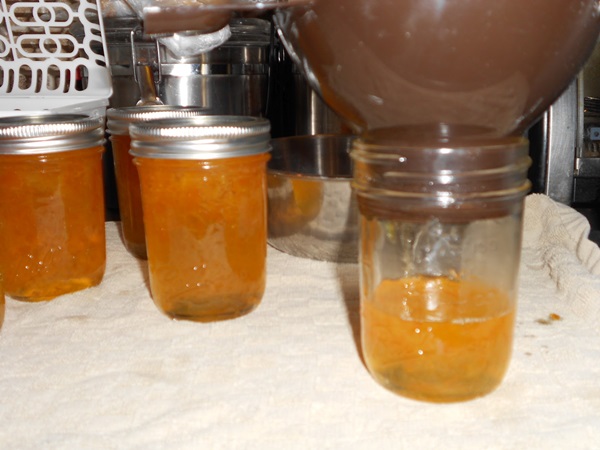 Confiture d'oranges et d'écorces d'orange: des recettes pas à pas avec des photos