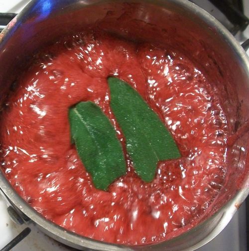 Gelée de groseille rouge