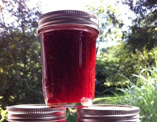 Confiture de cassis aux framboises