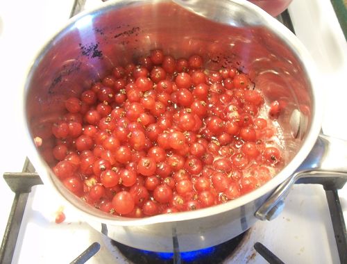 Gelée de groseille rouge