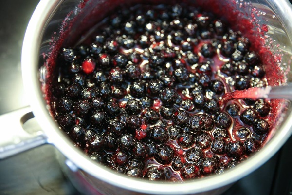 Confiture d'aronia