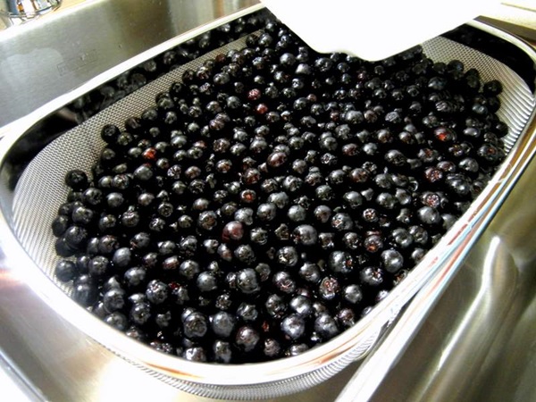 Confiture d'aronia