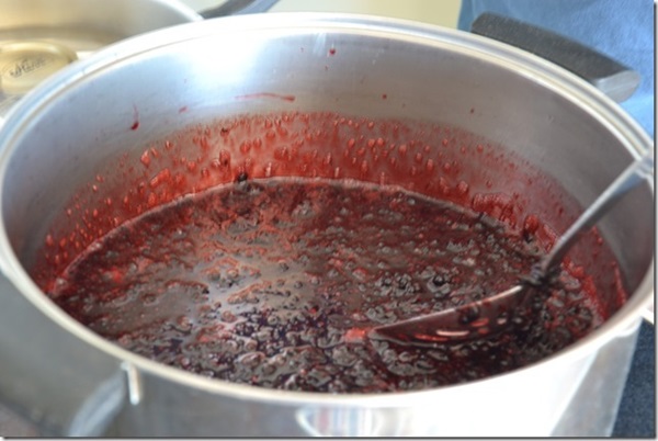 Confiture d'aronia