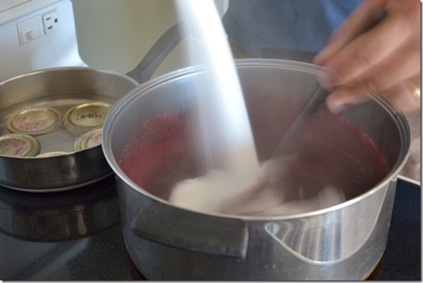 Confiture d'aronia