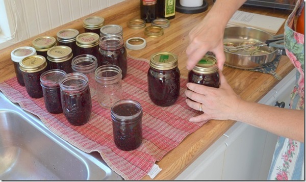 Confiture d'aronia