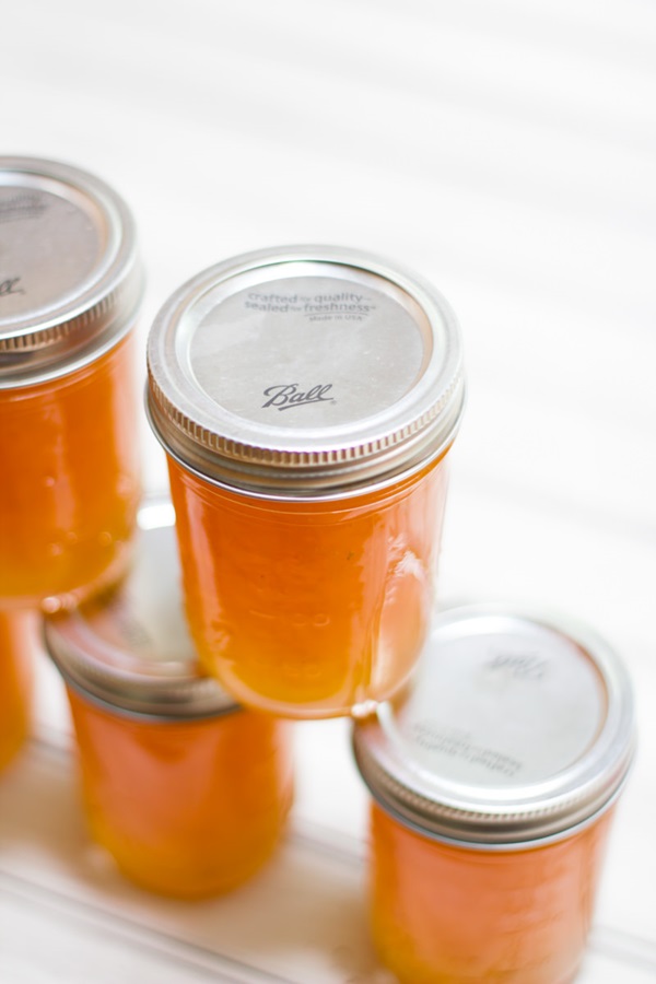 Confiture de melon et de croûte de melon pour l'hiver - recettes simples