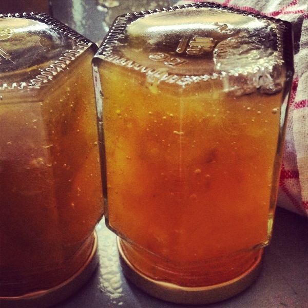 Confiture de melon et de croûte de melon pour l'hiver - recettes simples