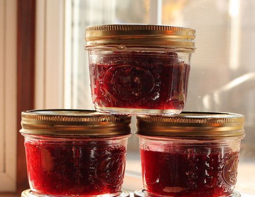 Confiture de canneberges simple