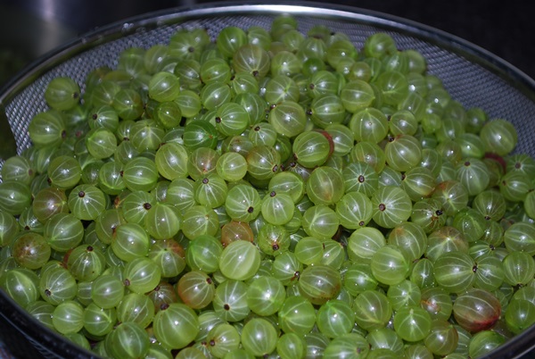 Recettes de confiture de groseilles à maquereau