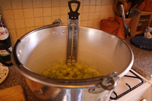 Recettes de confiture de groseilles à maquereau