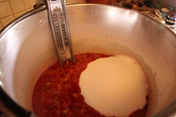 Recettes de confiture de groseilles à maquereau