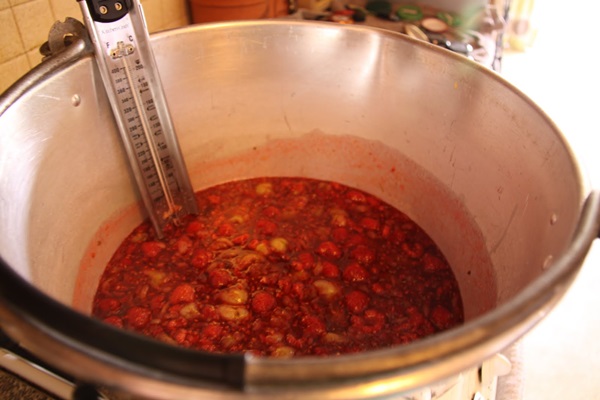 Recettes de confiture de groseilles à maquereau