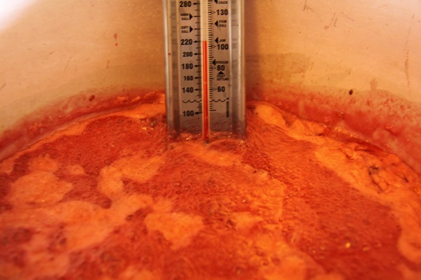 Recettes de confiture de groseilles à maquereau