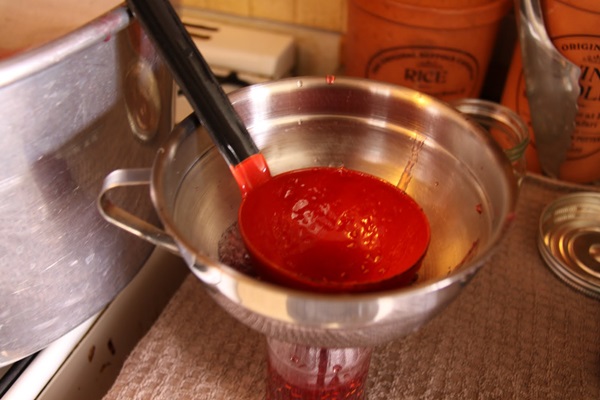 Recettes de confiture de groseilles à maquereau